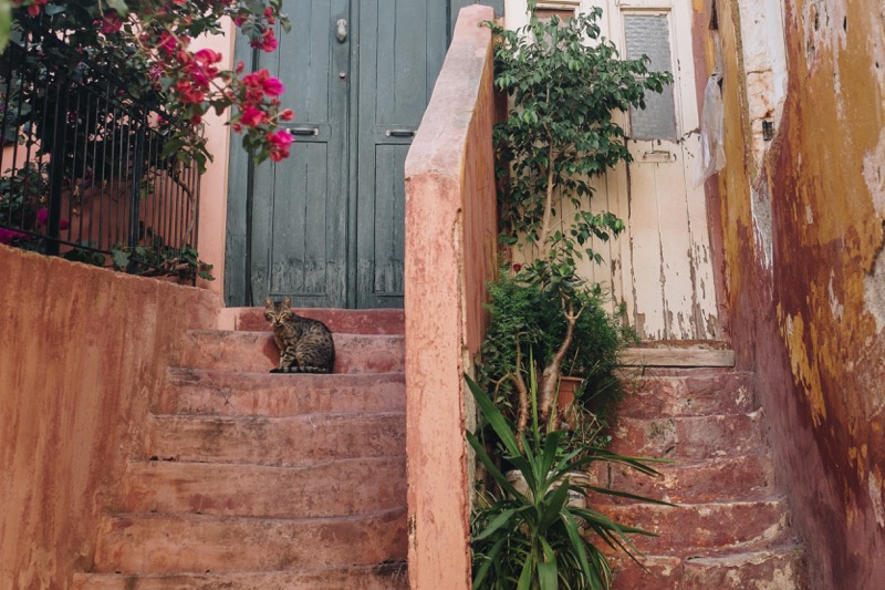 Biombo de madera para separar espacios de tu casa